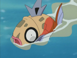 Jessie bought a Magikarp (thinking it was a Feebas) from the Magikarp salesman (the same salesman that has deceived James many times). It was later released in the same episode.