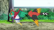 Fletchinder passes its band to Hawlucha