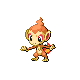 0390Chimchar DP