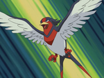 Vito sent Swellow to stop Team Rocket.