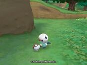 Oshawott and Foongus