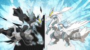 Kyurem Formes