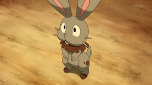 Clemont's Bunnelby.