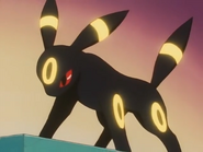 Flash being used by Gary's Umbreon.