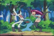 Team Rocket got came down from a tree, where they were blasted off to