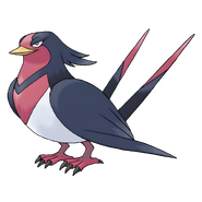 Swellow