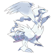 Reshiram