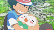 Ash and Rowlet