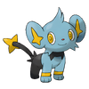 Shinx