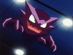 Haunter is one of Pokémon that resided at the Burned Tower. It was Morty's powerful Pokémon, who was used in the battle against Ash.