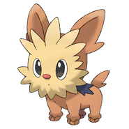 Lillipup