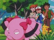 The heroes encounter Snubbull