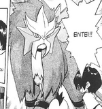 Entei chose to be Blaine's partner during the Gold & Silver arc due to his standing as the Fire-type Gym Leader of Kanto. It successfully cleansed Blaine of his genetic symbiosis with Mewtwo, and teamed up with Silver against the Masked Man after Blaine was incapacitated. Entei then was released after the battle was won.