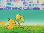 Pikachu attempts to punch Bellsprout