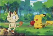 Pikachu shares an apple with Meowth