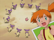 Corsola is surrounded by Delcatty