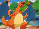 Charizard is one of the Battle Park's Pokémon. Jessie used it in battle against Ash's Totodile and lost.