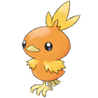 Torchic