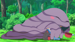 Captured after taking over a Power Plant, Muk was immediately sent to Professor Oak's Laboratory. While being there it grew incredibly affectionate and is known to hug Professor Oak on many occasions. However, past this affectionate yet slimy exterior, Muk has been used in several League battles and manages to hold its ground. As a running gag, Muk often knocks over Professor Oak when he's talking with Ash over the video-phone.