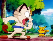 Argument between Pikachu and Meowth