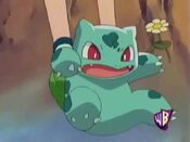 May saves a Bulbasaur