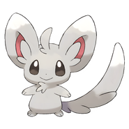 Minccino