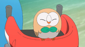 Rowlet being smuggy