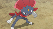 Alain's Weavile