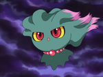 Little Miss is one of Marina's favourite Pokémon, as seen by the fact it is often seen out of its Poké Ball. It seems to be decently strong, as it was able to hold its own against Attila and Hun.