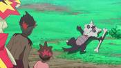 Marowak got bashed away by Tauros