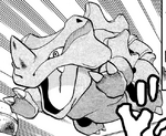 Y used her Rhyhorn previously for practicing Rhyhorn raves. It was later sent out to save Y's friends from the rampage. After being used as a makeshift home for X, Y decided to keep Rhyrhy as a permanent member of her team.