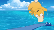 Psyduck almost went into the water