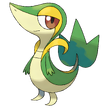 Snivy