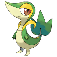 Snivy