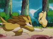 Cyndaquil evades Sandslash's attacks