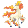 Rapidash