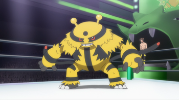 Mr Elec Electivire