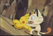 Meowth saves Pikachu from rolling down