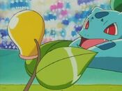 Bellsprout and Bulbasaur "dance in the wave of music"