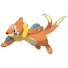 Buizel