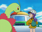 Casey and Meganium visit the stadium