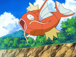 She used Magikarp in One Team, Two Team, Red Team, Blue Team! to compete in a Triathlon.