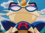 The Meowth bot