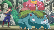 Nihei's Venusaur