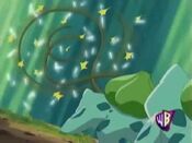 Ash's Bulbasaur protects May's Bulbasaur with Vine Whip