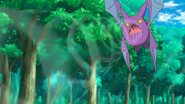 Supersonic being used by Brock's Crobat.