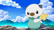 Oshawott goes to attack