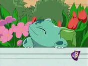 Bulbasaur sniffs flowers in a truck