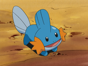 Brock Mudkip