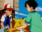 Jolteon got injured